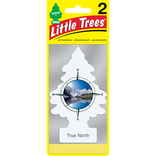 Little Trees Air Freshener- True North- 2 Pack (12 Count)