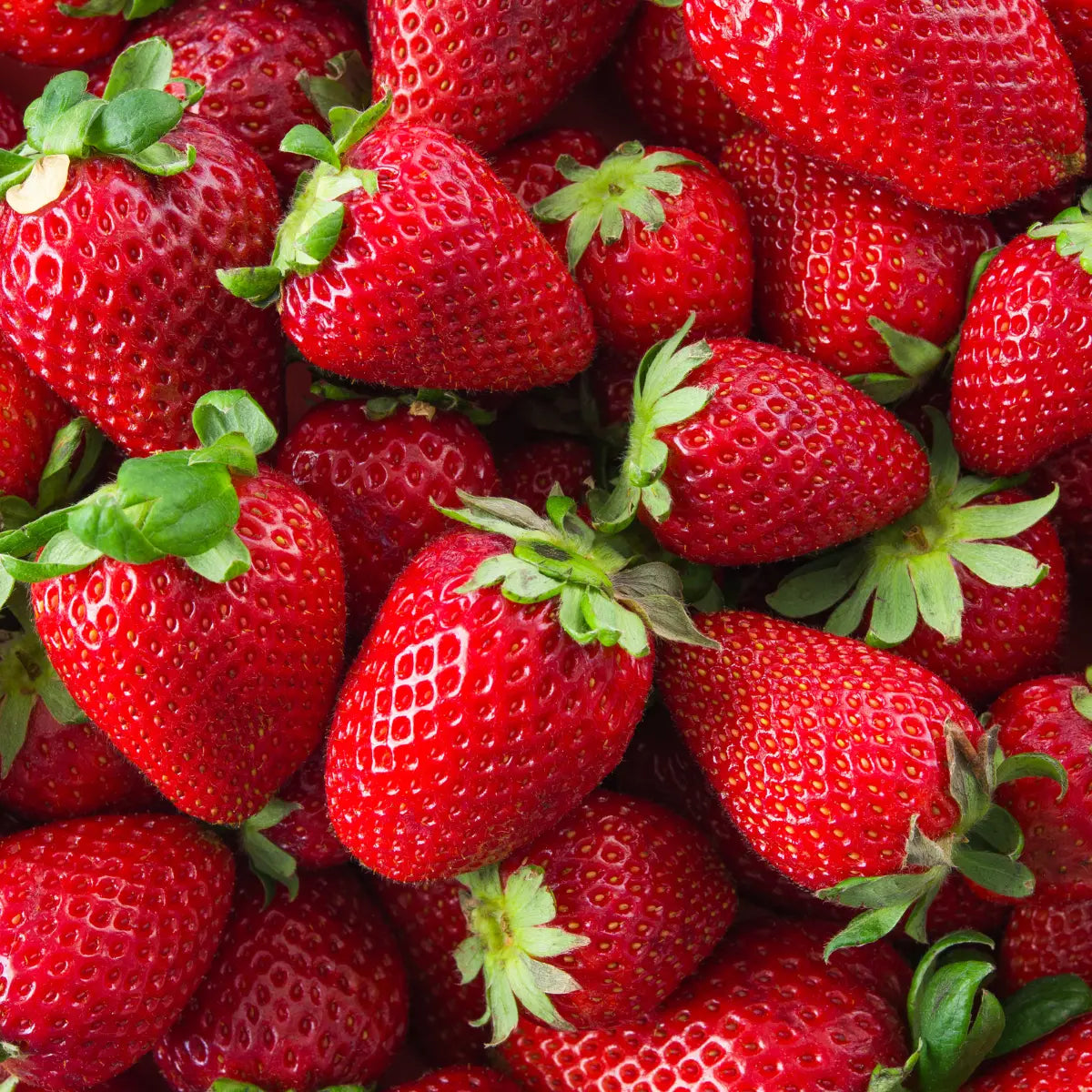 Fresh Strawberries Close-Up – Fragrance Inspiration Behind Blunt Cloud Strawberry Incense
