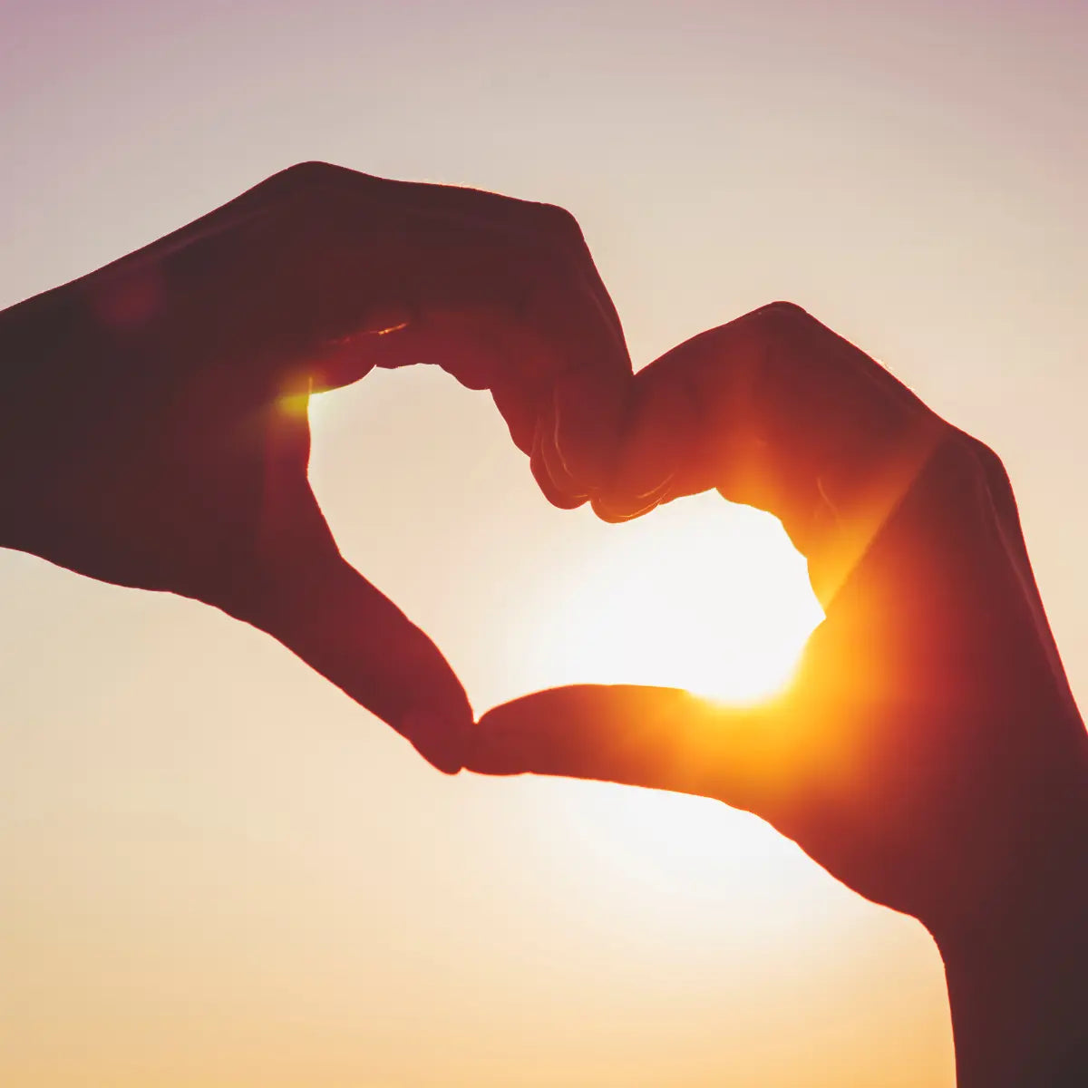 Hands Forming Heart at Sunset – Symbolic Representation of the Love Scent Theme and Emotion