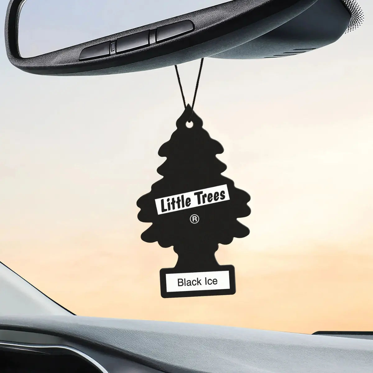 Little Trees Black Ice car air freshener 2-pack hanging from rearview mirror in car
