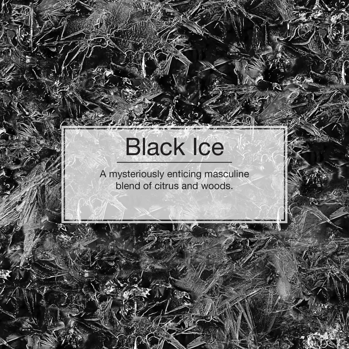 Scent profile of Black Ice air freshener with citrus and woods on icy black textured background