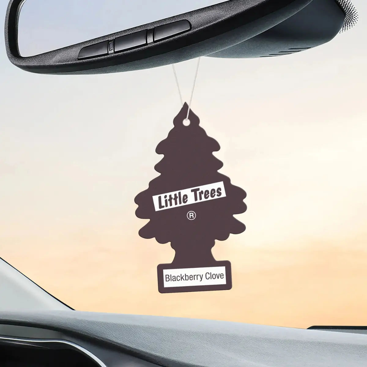 Blackberry Clove car air freshener from 2-pack shown hanging inside a vehicle for wholesale use