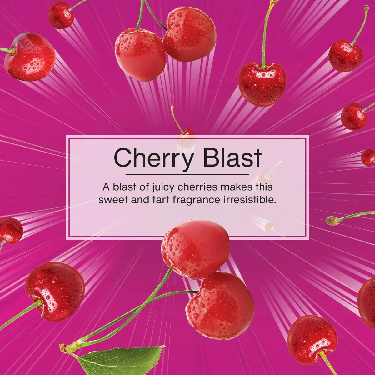 Cherry Blast scent description with juicy cherry visuals and bold pink