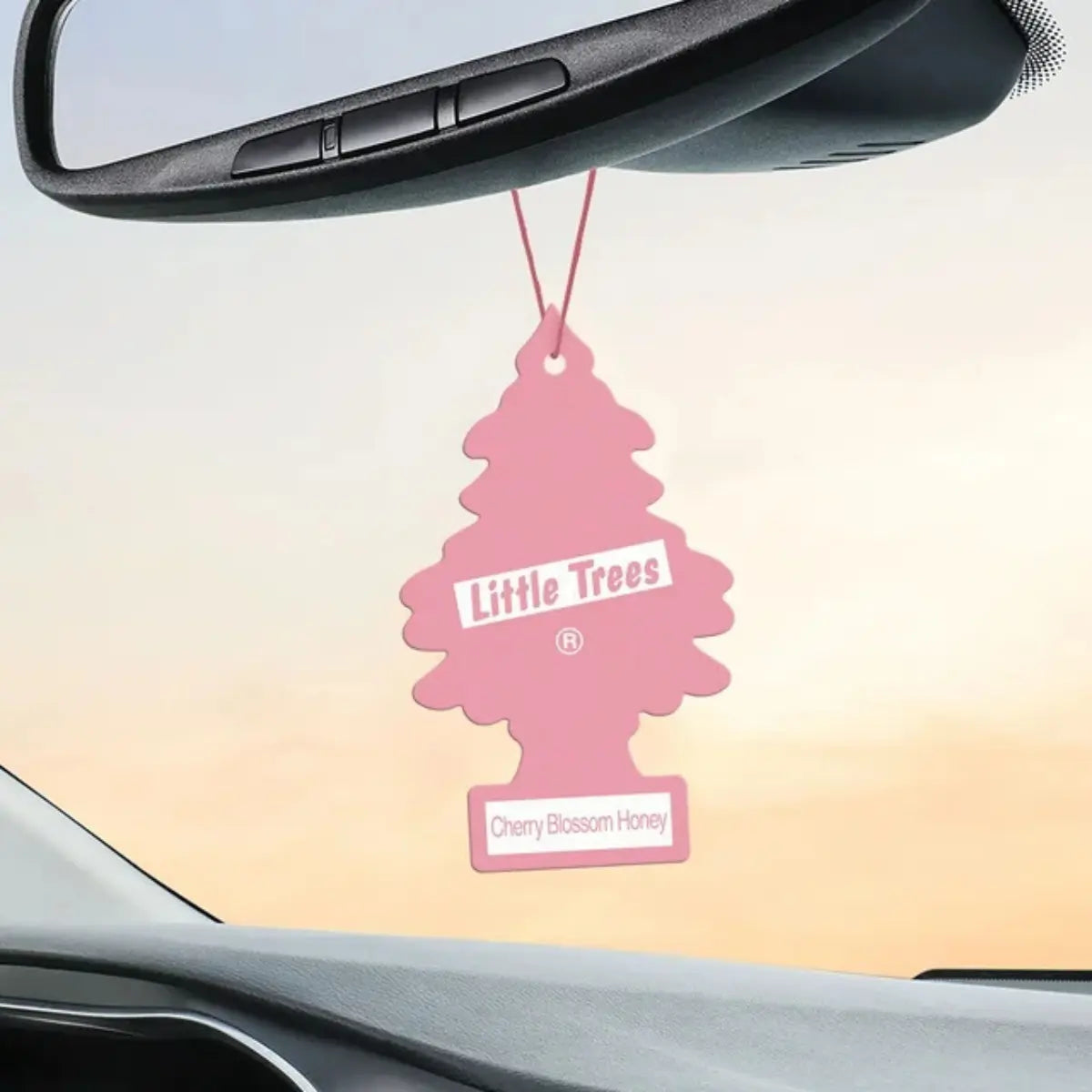Little Trees Cherry Blossom Honey 2 packs hanging in car rearview mirror for wholesale