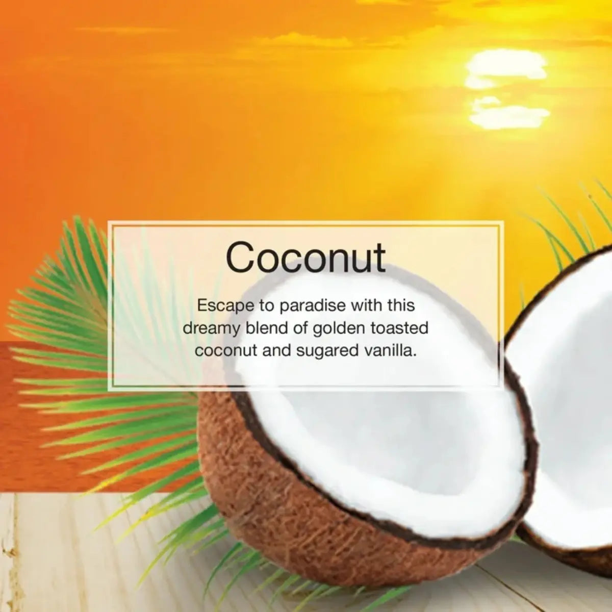 Coconut scent profile for Little Trees 2 Pack Car Air Freshener wholesale with tropical and vanilla notes