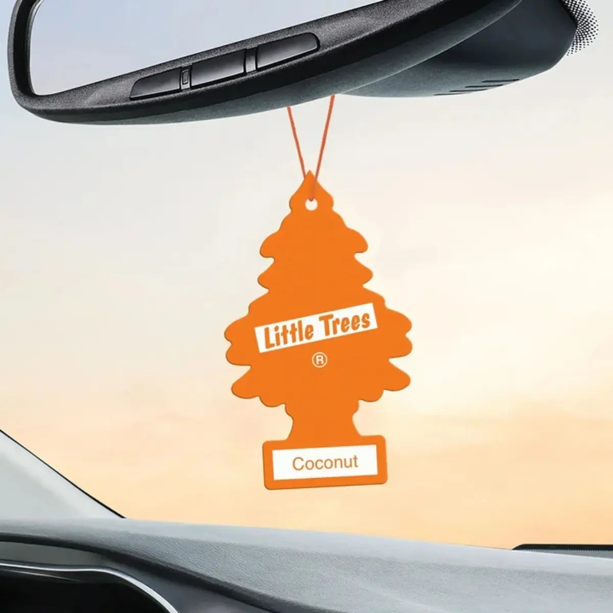 Little Trees Coconut 2 Pack Car Air Freshener hanging from mirror in vehicle interior for wholesale sale