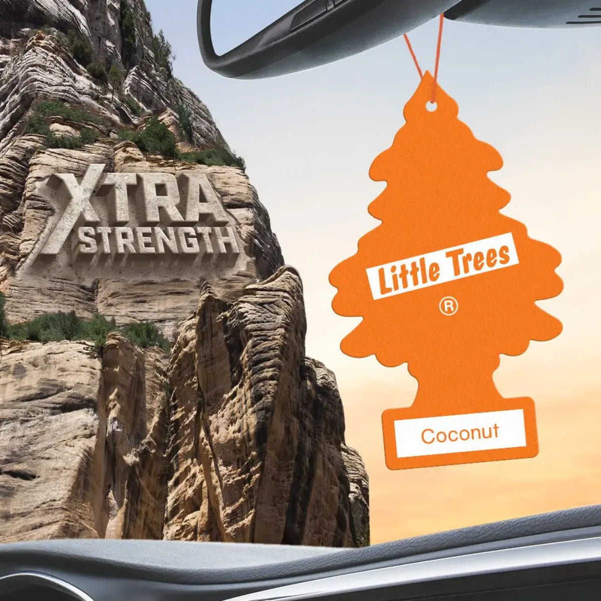 Little Trees Coconut Xtra Strength air freshener hanging from rearview mirror with warm tropical background