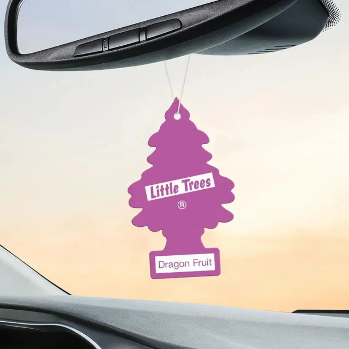 Little Trees Dragon Fruit air freshener hanging from rearview mirror