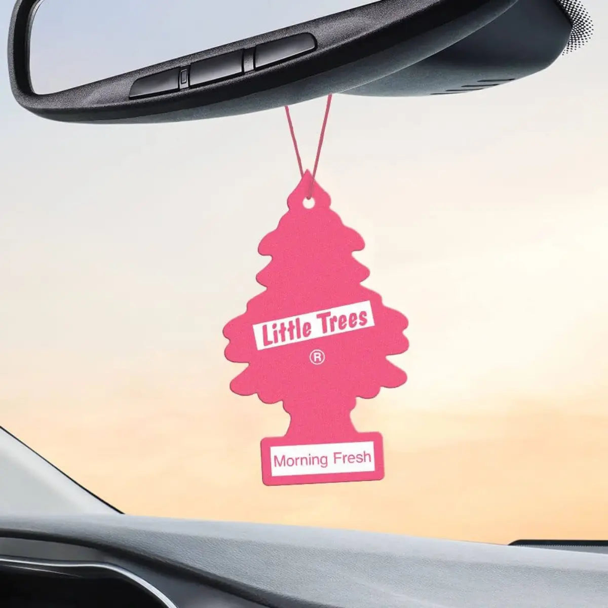 Little Trees Morning Fresh air freshener wholesale hanging from car mirror 2 pack