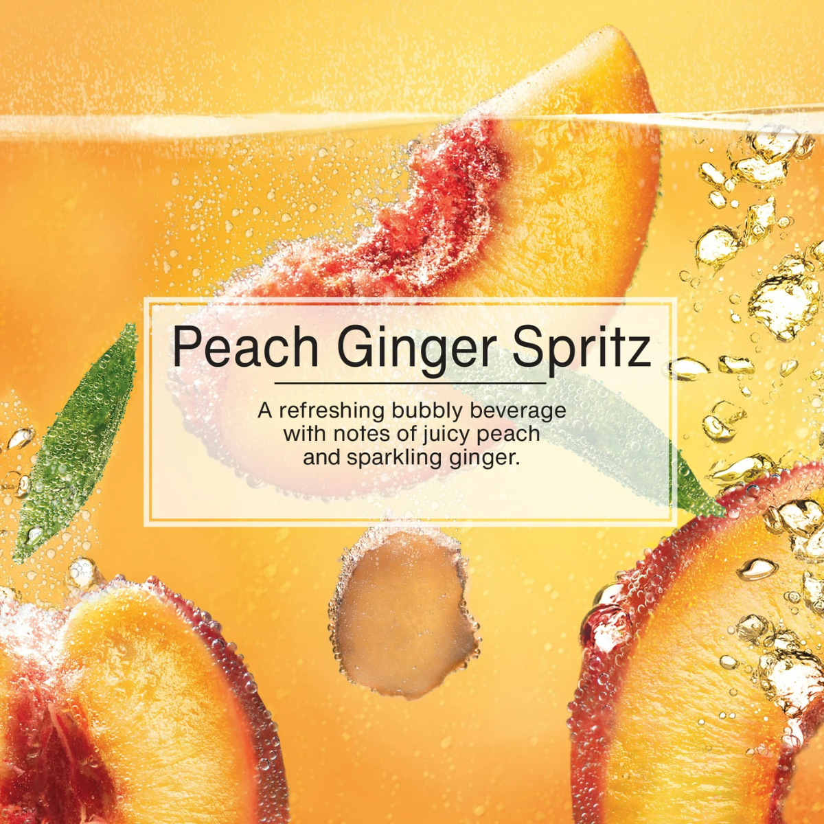 Little Trees Air Freshener - Peach Ginger Spritz - 2 Pack (12 Count)