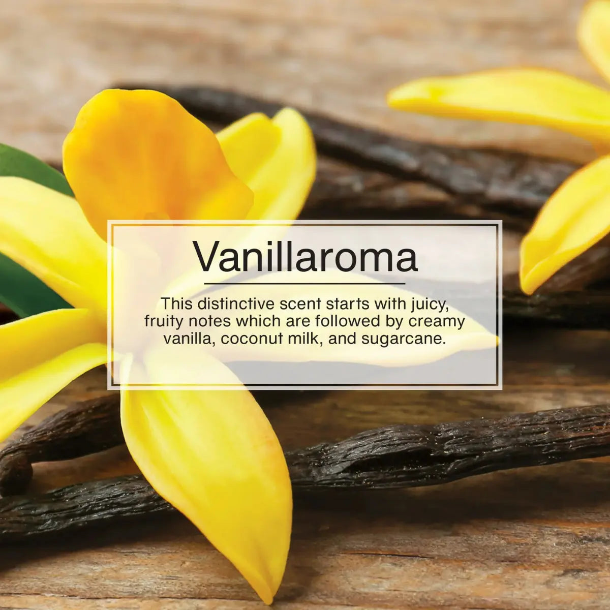 Fragrance card visual for Vanillaroma featuring vanilla flower and pods, describing the creamy vanilla and fruity scent profile.