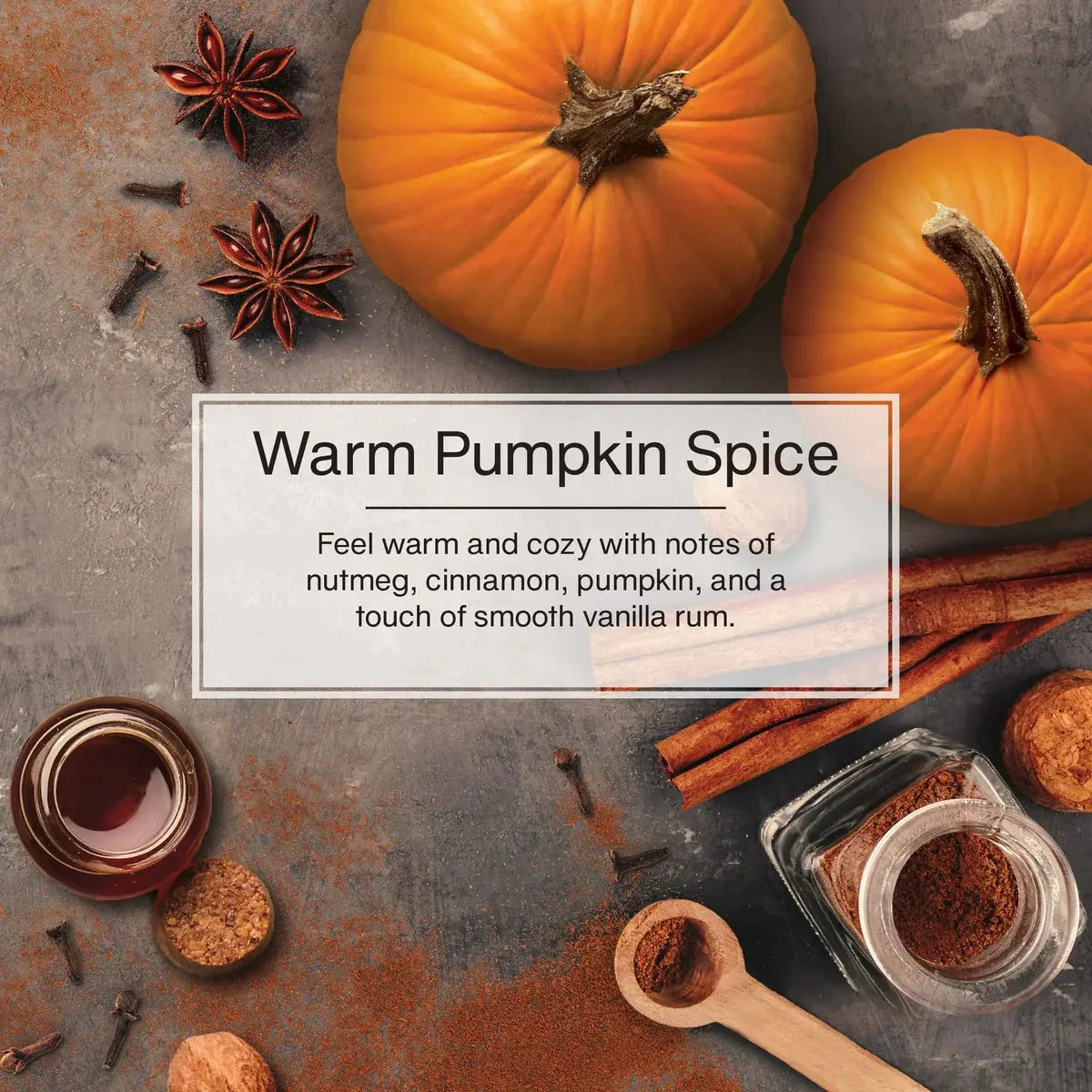 Warm Pumpkin Spice Little Trees Scent – Cinnamon, Pumpkin, Nutmeg, and Vanilla Notes