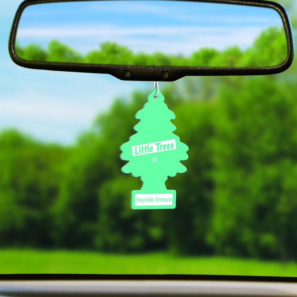 Bayside Breeze Little Tree Hanging in Car