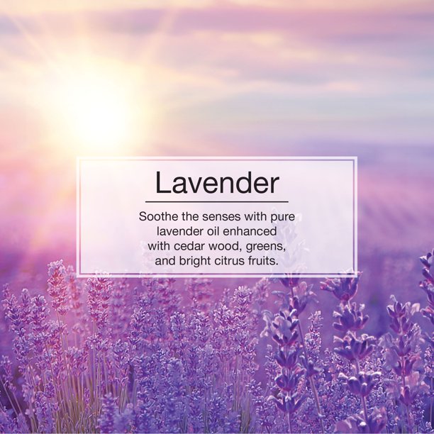 Informational Banner for Lavender Little Tree