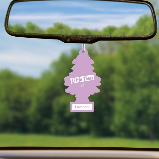 Lavender Little Tree Hanging in Car