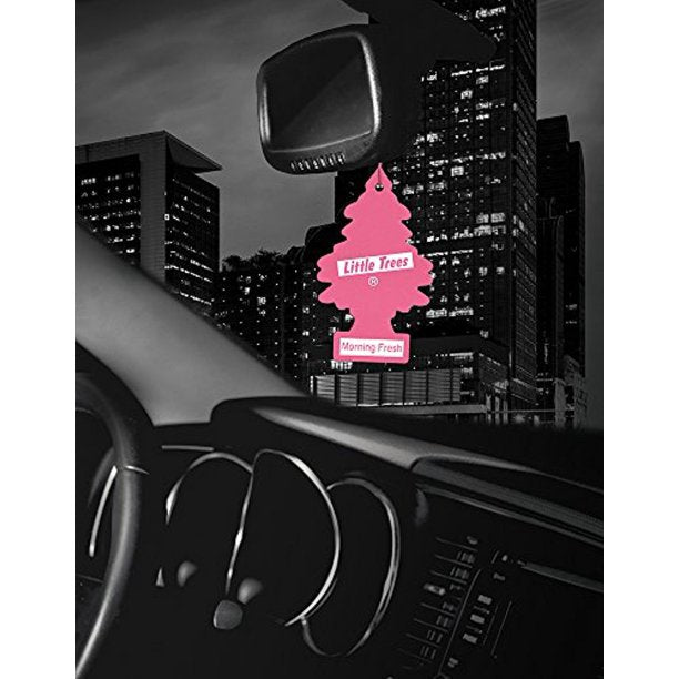 Morning Fresh Little Tree Hanging in Car