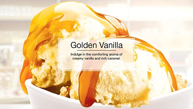 Little Tree Vent Liquid Clip-Golden Vanilla  (4 Count)