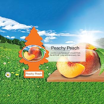 Little Trees Air Freshener- Peachy Peach- 1 Pack (24 Count)