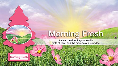 Informational Banner for Morning Fresh Little Tree