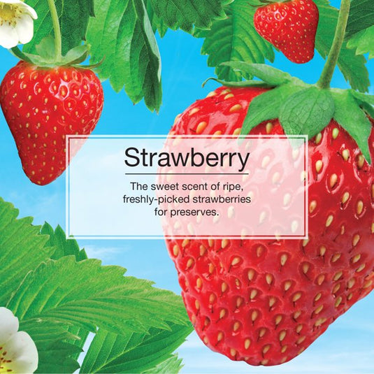 Informational Banner for Strawberry Little Tree
