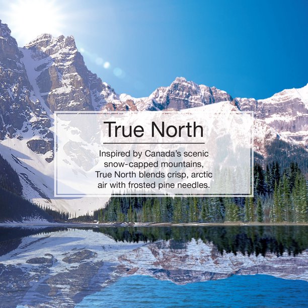 Informational Banner for True North Little Tree