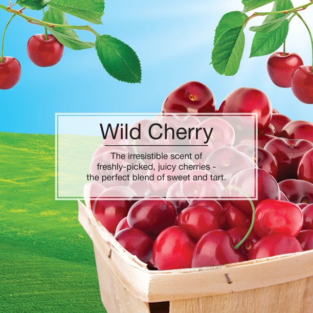 Informational Banner for Wild Cherry Little Tree