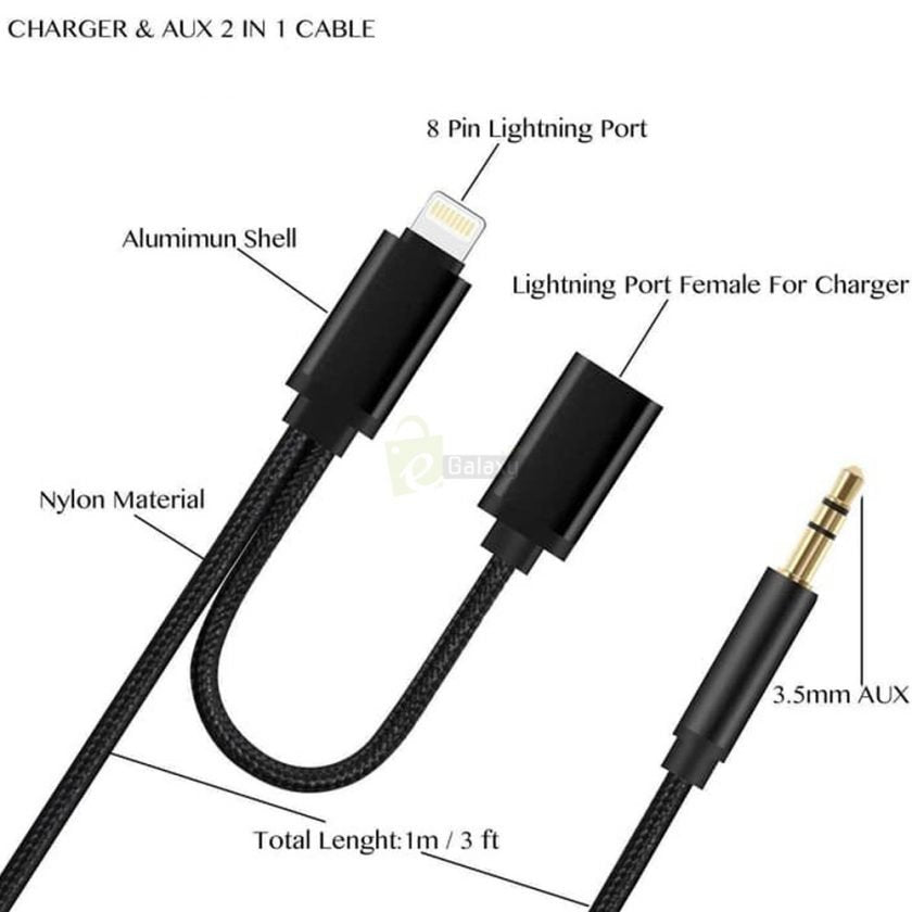 Lightning to USB-A and Headphone Jack Adapter Two in One Poster